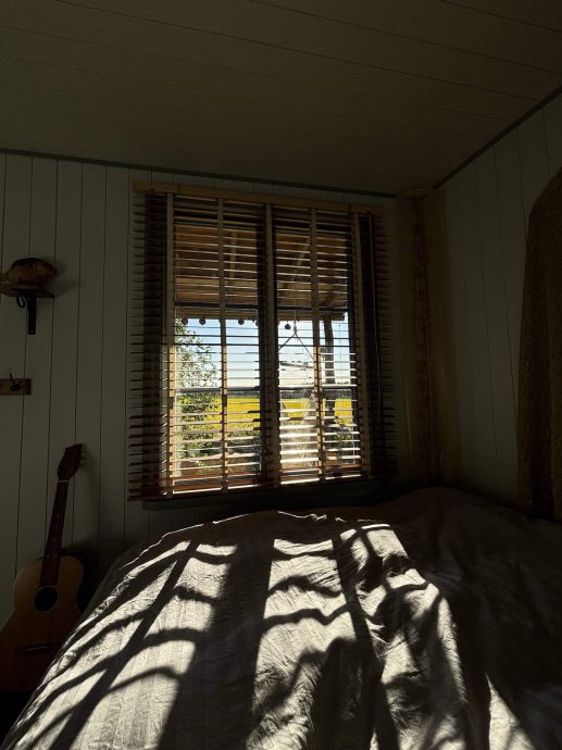 Chillbilly Cabin